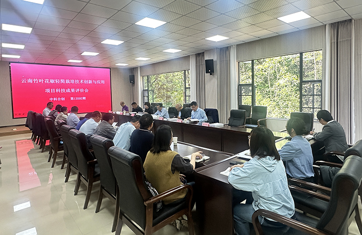 云南竹叶花椒轻简栽培创新与应用 anli.jpg